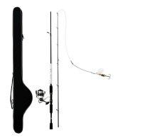Carbon-Spincombo 198cm