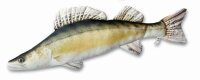 Stofftier Zander 77cm Kuscheltier Kissen Fisch Paladin