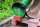CUT-FIX Green-Line Diamant Trennscheibe Ø 230x22mm