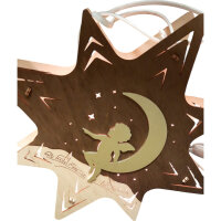 Fensterbild Stern Engel auf Mond