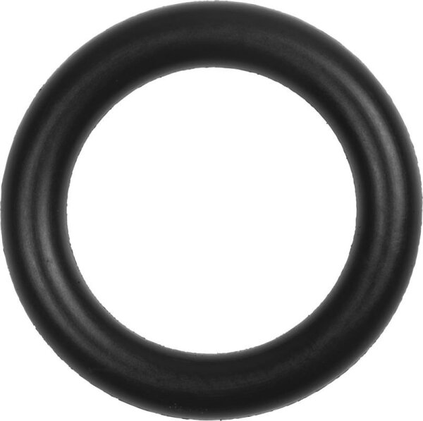 O-Ring Dichtung 20mm für PE 10er