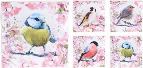 Servietten 20er 33x33cm Vögel sort.