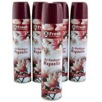 Raumspray Lufterfrischer Magnolia 300ml