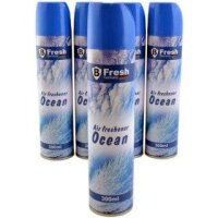 Raumspray Lufterfrischer Ocean 300ml