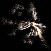 Delta Fire R10-200 10er Raketen NICO