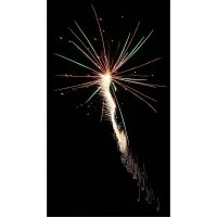 Delta Fire R10-200 10er Raketen NICO