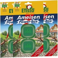 Ameisen Power-Box 2 Dosen Etisso