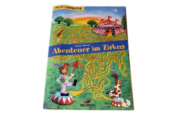Labyrinthe für Profis ab 6. Heft 2f.sort.