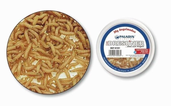 Angelmaden 125-ml-Dose/30g (Lebendköder - Lagertemperatur -1°C bis 0°C) PALADIN