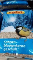 Sonnenblumenkerne 1kg geschält Vogelpick