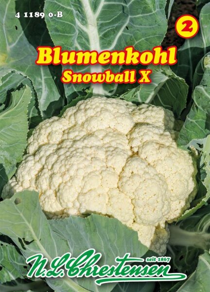 Blumenkohl Snowball X