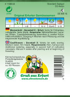 Blumenkohl Snowball X