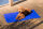 Kühlmatte blau m.Tragegriff 50x90cm für Haustiere PVC