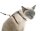 Katzengeschirr mit Halsband und Leine im Set