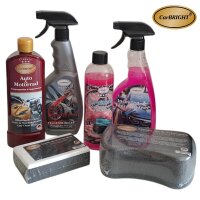 CarBRIGHT 6tlg. Außenbereich-Pflegeset/Exterior-Set für die gründliche&professionelle Reinigung